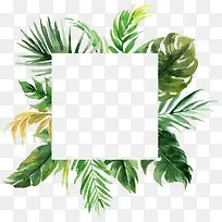 方形热带植物边框