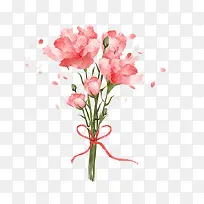 母亲节粉色康乃馨花朵