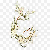 中国风白色花鸟装饰素材