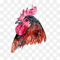 红色的公鸡头图案