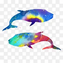 鲸鱼戏水彩色