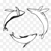 三头鲸鱼戏水简笔画