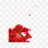元宵节牡丹