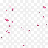 粉色红色大小不规则花瓣漂浮素材