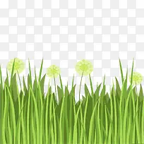 水彩绘绿色草丛矢量图