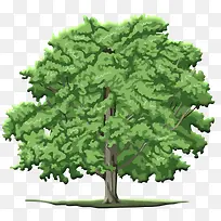 卡通茂密绿树——植树节免扣素材