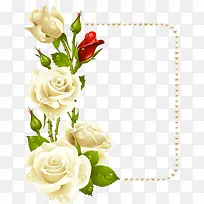白色玫瑰花与珍珠卡片