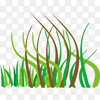真实的绿色小草长在石头的小草