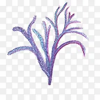 紫色海葵水彩风