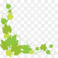 绿色清新春季树叶框架