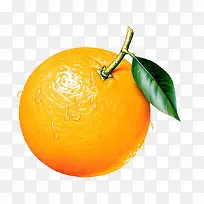 橙子上的水滴