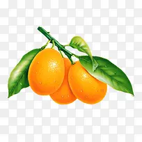 橙子高清免扣