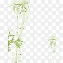 手绘水彩画斑竹素材
