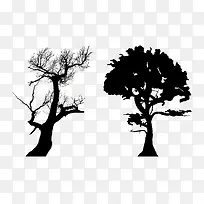两棵大枯树