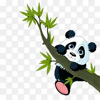 国宝大熊猫抱竹子