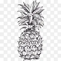 夏季水果手绘菠萝