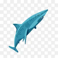 卡通装饰海洋生物海报设计鲨鱼