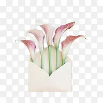 信封