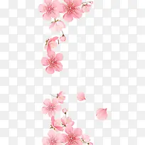 飘落的粉色花朵图