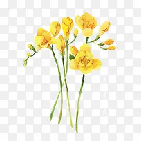 春季 春天 鲜花 黄色的花
