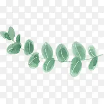 横条的可爱创意植物