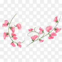 手绘花枝