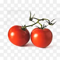 西红柿-鲜红的番茄