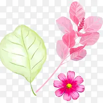 梦幻花草png素材