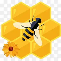 蜜蜂和蜂窝矢量插画
