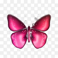 唯美浪漫的粉色蝴蝶
