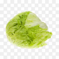 绿甘蓝卷心菜包菜