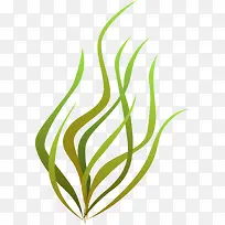 海洋植物绿色海草