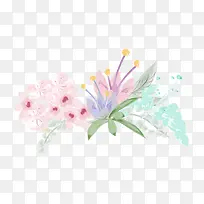 水彩绘花卉植物矢量图