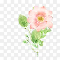 粉红色水彩肌理花朵免抠图