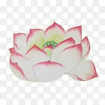 手绘莲花