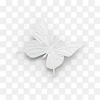 白色浮雕创意元素蝴蝶