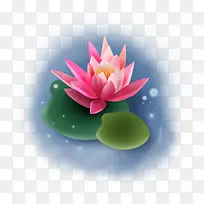 手绘莲花 荷花