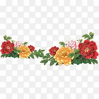 牡丹花