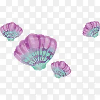 水彩紫色贝壳