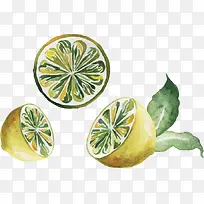 矢量手绘插画柠檬