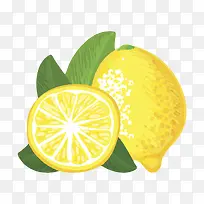 橙黄色美味的水果带叶子的柠檬片