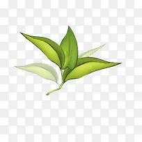 卡通手绘中草药素材