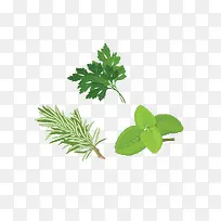 卡通手绘中草药素材