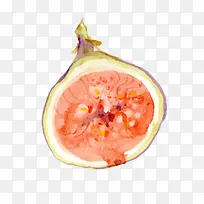矢量无花果