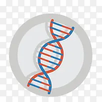 卡通生物学DNA分子结构图矢量
