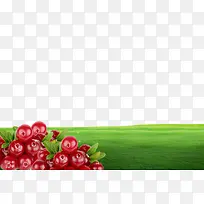 纯天然蔓越莓产品海报