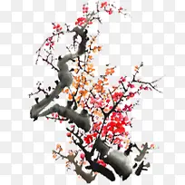 中国风水墨梅花花枝图片