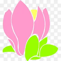 创意美丽的玉兰花