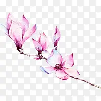 手绘紫色玉兰花装饰