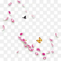 花瓣
